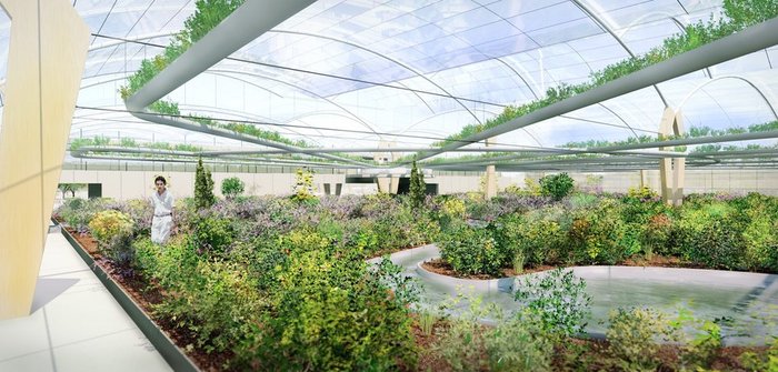Polydome