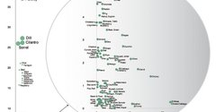 Polydome yield prices