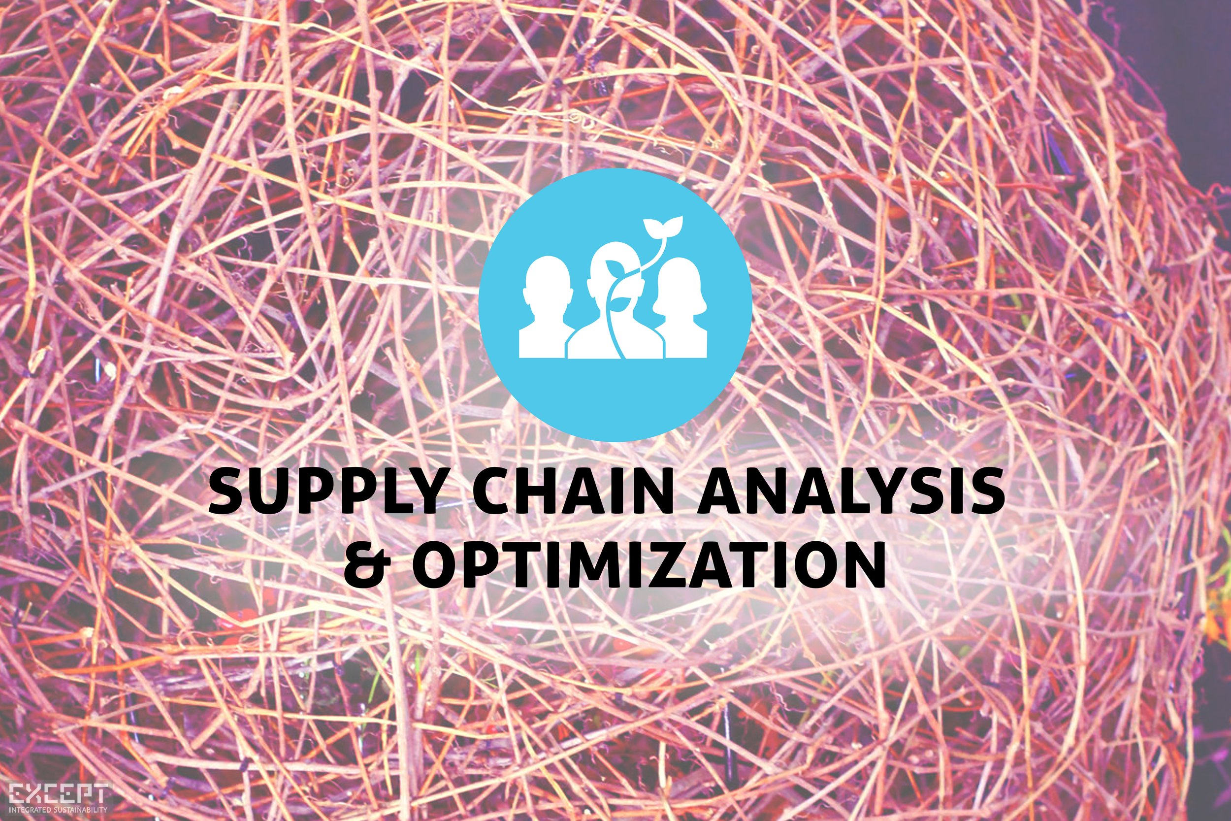 Except Integrated Sustainability Supply Chain Analysis & Optimization