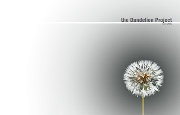 Dandelion - The Dandelion Project