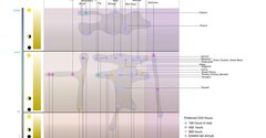 Polydome functional clustering